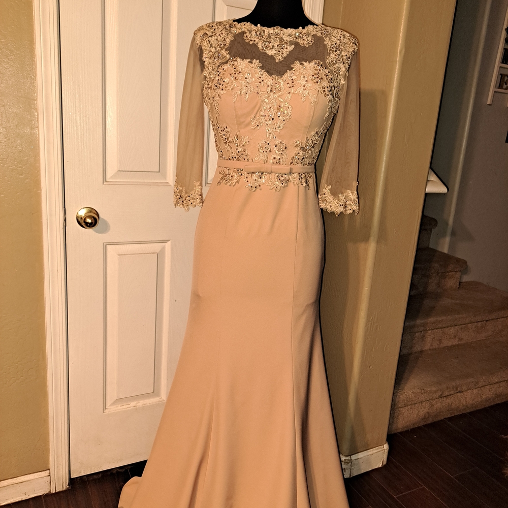 Elegant Lace Evening Gown Champagne